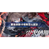 雷索纳斯卡塔斯怎么配队 雷索纳斯卡塔斯配队攻略
