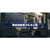 雷索纳斯紫卡队怎么配 雷索纳斯紫卡队构筑方法