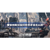 雷索纳斯垃圾回收养老流怎么样 雷索纳斯垃圾回收养老流介绍