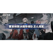 雷索纳斯冰隐斩裂队怎么搭配 雷索纳斯冰隐斩裂队搭配方法介绍