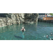 逆水寒手游大珠小珠落玉盘成就怎么做-逆水寒手游大珠小珠落玉盘成就完成方法