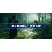 浪人崛起隐刀任务怎么做