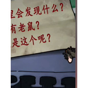 抖音隐秘的档案清洁工答案是什么