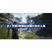 龙之信条2带刺的玫瑰支线怎么做