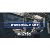 雷索纳斯紫火队怎么搭配 雷索纳斯紫火队搭配攻略