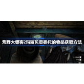 荒野大镖客2玛丽贝思委托的物品位置在哪