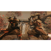 只狼武士支线任务指南