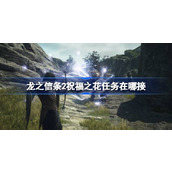 龙之信条2祝福之花任务在哪接