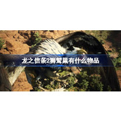 龙之信条2狮鹫巢有什么物品