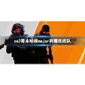 《cs2》哥本哈根major战队介绍