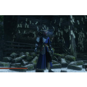 《只狼影逝二度》不良帅天暗星MOD介绍