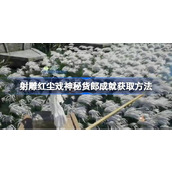 射雕红尘戏神秘货郎成就怎么获取