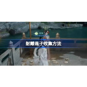 射雕莲子怎么收集