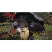 艾尔登法环乌龟壳在哪