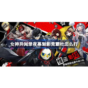 女神异闻录夜幕魅影荒霸吐怎么打