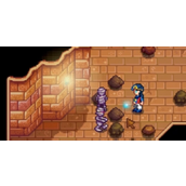 《星露谷物语》获得地板方法