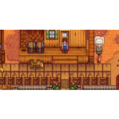 《星露谷物语》沙滩储物箱放置地点