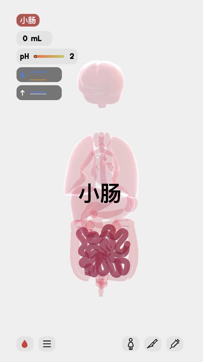 Life生命模拟器下载安装