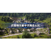 庄园领主新手开局怎么玩