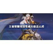 王者荣耀项羽苍威无极怎么样