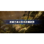 恶意不息云杉木在哪获得