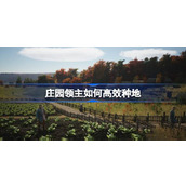 庄园领主如何高效种地