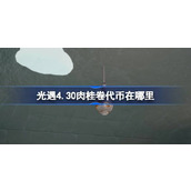 光遇4.30肉桂卷代币在哪里 光遇4月30日大耳狗联动代币收集攻略