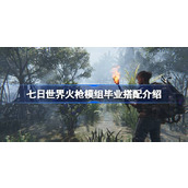 七日世界火枪模组毕业搭配介绍