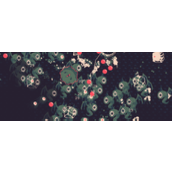 黎明前20分钟换弹十字枪怎么玩-玩法技巧介绍