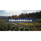 庄园领主纯种地流怎么玩