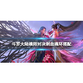斗罗大陆魂师对决刺血魂环搭配 斗罗大陆魂师对决刺血魂环怎么选