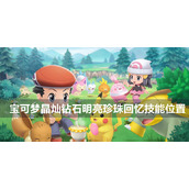 宝可梦晶灿钻石明亮珍珠回忆技能位置