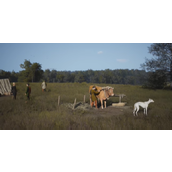 《庄园领主》牛和马区别介绍