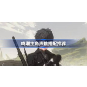 鸣潮主角声骸怎么搭配 鸣潮主角声骸搭配推荐
