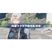 鸣潮卡卡罗声骸怎么搭配 鸣潮卡卡罗声骸搭配推荐