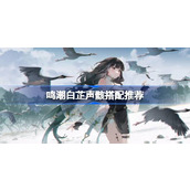 鸣潮白芷声骸怎么搭配