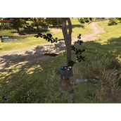 《颂钟长鸣》水获得方法