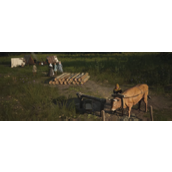 《庄园领主》家族纹章作用介绍