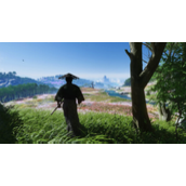 《对马岛之魂导演剪辑版》完全版情况说明