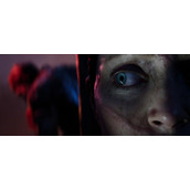 《地狱之刃2赛娜的史诗》图文攻略 全流程全谜题解谜攻略