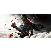 《对马岛之魂导演剪辑版》图文攻略全剧情流程全BOSS全物品收集攻略