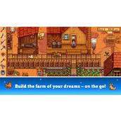 《星露谷物语》居住位置介绍