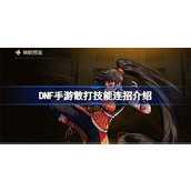 DNF手游散打技能该怎么连招 DNF手游散打技能连招介绍