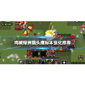 《鸡械绿洲》猫头鹰标本强化推荐