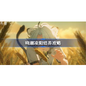 鸣潮凌阳培养攻略