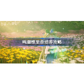 鸣潮维里奈培养攻略