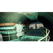 《辐射4》芳邻镇任务介绍