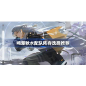 鸣潮秋水配队阵容选择推荐