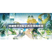 鸣潮维里奈配队阵容选择推荐