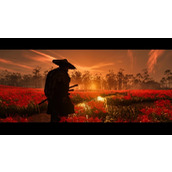 《对马岛之魂导演剪辑版》壹岐岛血源位置介绍